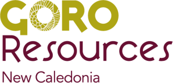 Goro Ressources - New Caledonia